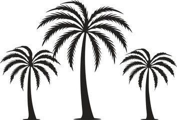 Obraz premium Three palm trees silhouette