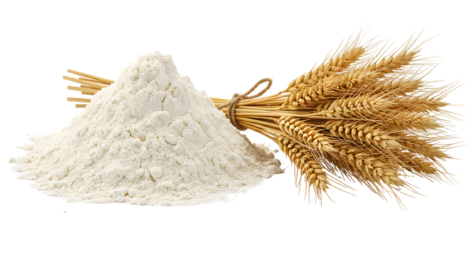 Pile of flour with wheat ears, a baking ingredient for bread and pastry isolated on transparent background