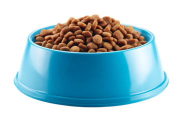 Pet food in a blue bowl