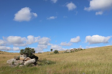 Paysage de l Aubrac