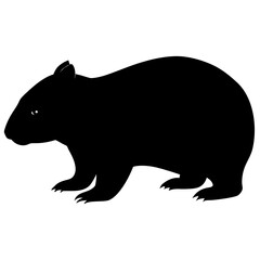 Silhouette of a Wombat