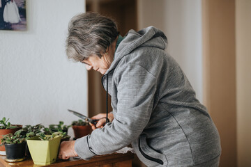 An elderly woman carefully trims and cares for potted plants indoors, reflecting her dedication to...