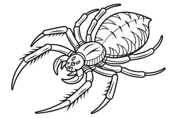 coloring page line art the shrike black vector