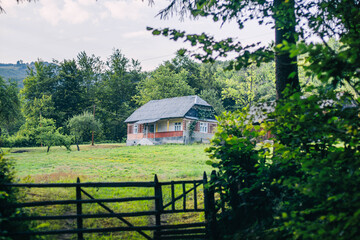 Nestled in a lush green landscape, a charming house stands quietly among trees and fields, bathed...