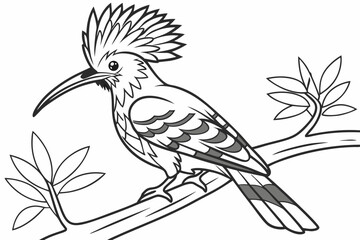 coloring page line art the hoopoe black vector