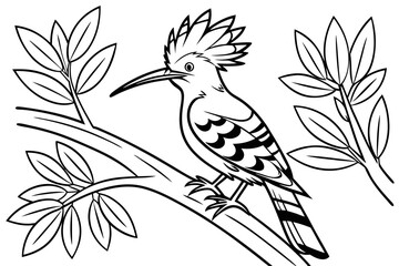 coloring page line art the hoopoe black vector