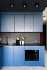 Modern electric oven integrated into stylish blue kitchen cabinetry