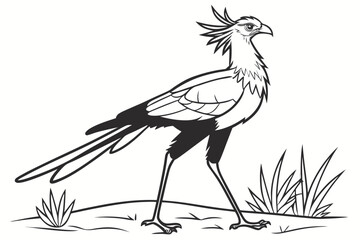 coloring page line art the secretary bird black vector