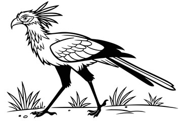 coloring page line art the secretary bird black vector