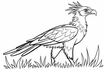 coloring page line art the secretary bird black vector