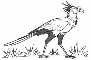 coloring page line art the secretary bird black vector