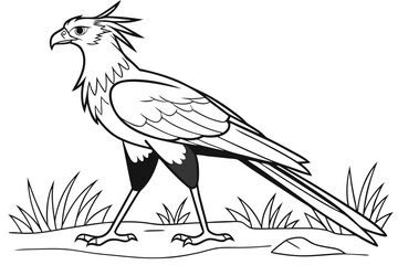 coloring page line art the secretary bird black vector