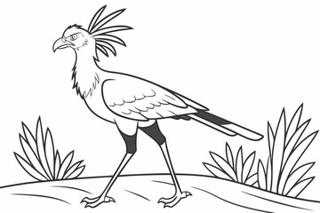 coloring page line art the secretary bird black vector