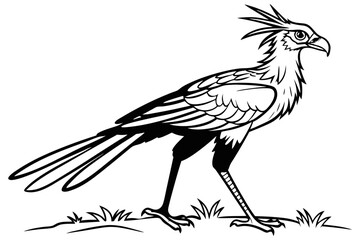 coloring page line art the secretary bird black vector