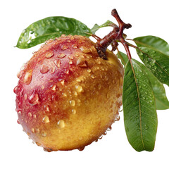 Transparent fresh peach nature food photography wet environment close-up view juicy and delicious treat