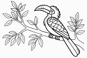 coloring page line art the hornbill black vector