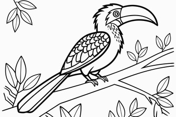 coloring page line art the hornbill black vector © mst
