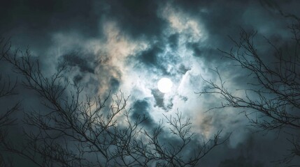 Full moon illuminating cloudy night sky with silhouetted branches