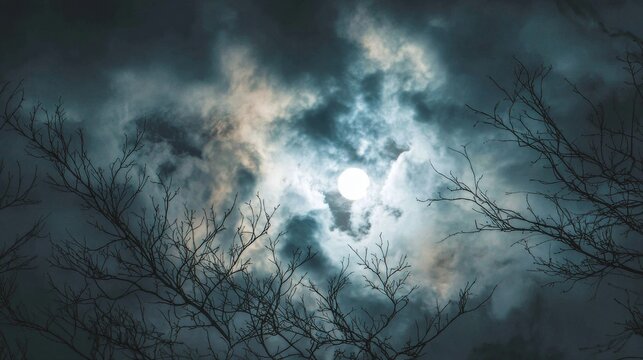 Full moon illuminating cloudy night sky with silhouetted branches