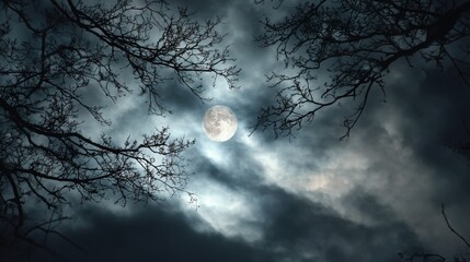 Full moon on cloudy night with silhouette of bare tree branches