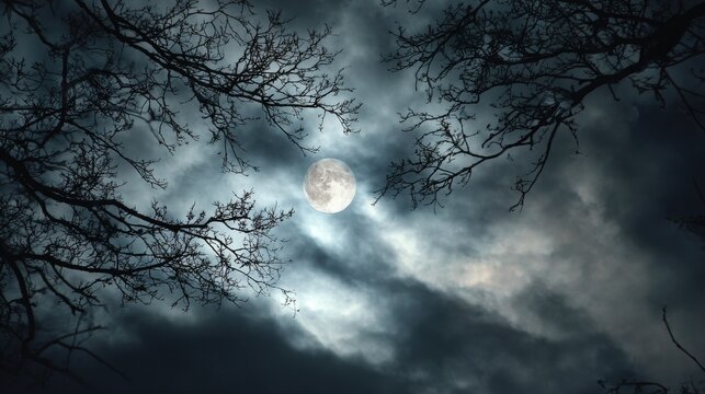 Full moon on cloudy night with silhouette of bare tree branches - Powered by Adobe