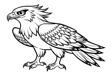 coloring page line art the osprey black vector