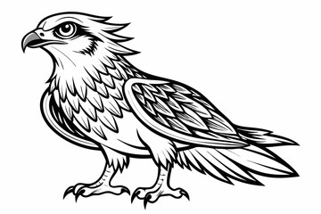 coloring page line art the osprey black vector