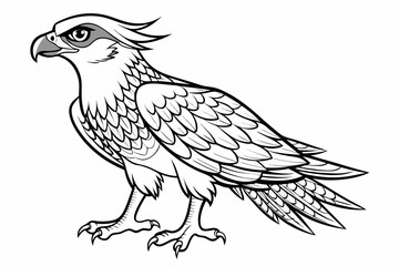 Fototapeta premium coloring page line art the osprey black vector
