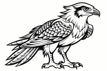 coloring page line art the osprey black vector
