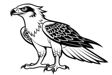 coloring page line art the osprey black vector