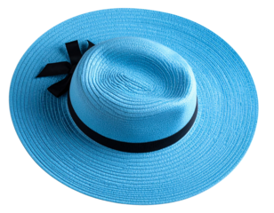  A fashionable light blue fedora hat captured from a top-down angle, resting slightly tilt crown and brim curvature, artistic composition, background removed, transparent