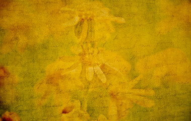 Blossoms surrounded by faded handwritten notes evoke a sense of nostalgia and reflection on lost...