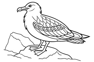 coloring page line art the skua black vector