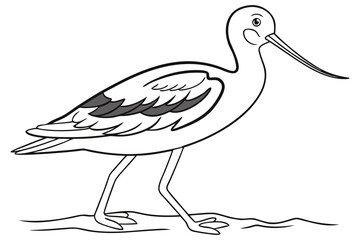 coloring page line art the avocet black vector
