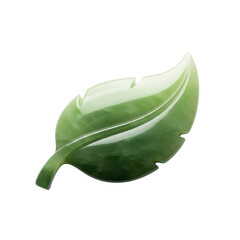 Green Leaf with Smooth Edges and Curved Shape on Transparent Background