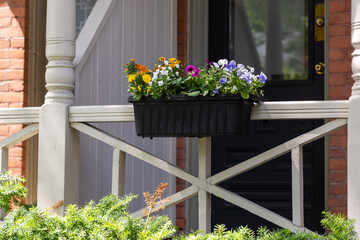 Porch of a house with blooming flowers in summer.