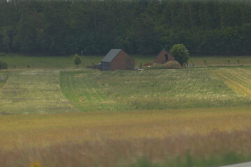 In the center of an expansive field, there exists a traditional barn that stands out prominently...