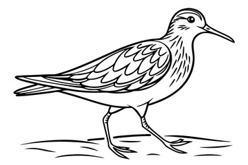 coloring page line art the sandpiper black vector