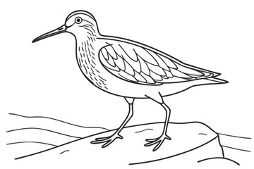 Obraz premium coloring page line art the sandpiper black vector