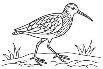 coloring page line art the sandpiper black vector