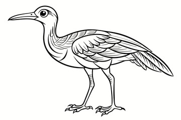coloring page line art the curlew black vector