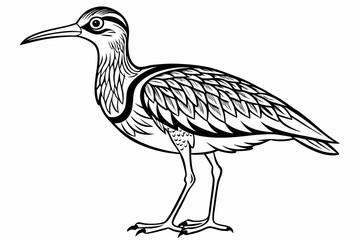 coloring page line art the curlew black vector