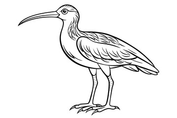 Obraz premium coloring page line art the curlew black vector