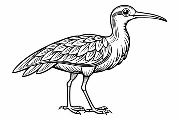 coloring page line art the curlew black vector