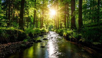 Fototapeta premium Sunlight streams through a lush forest to a crystal-clear creek