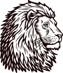 Obraz premium Detailed hand drawn illustration of a lion head with majestic mane in vintage on white background