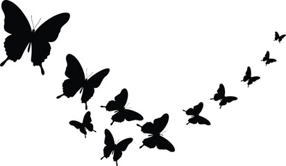 Butterfly silhouettes in flight, nature beauty concept, elegant insect pattern, black and white vector illustration, peaceful decorative wing design