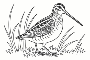 coloring page line art the snipe black vector