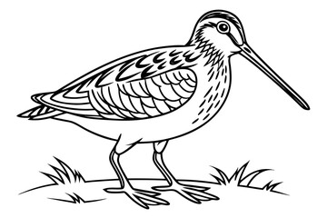 coloring page line art the snipe black vector
