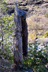 Val Gargassa: the canyon in Beigua Park, Genoa, Italy